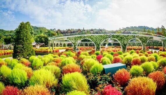 everland-adventure-and-seoul-shopping-CDRbUJOS-thumb