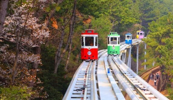 forests-temples-ocean-breeze-busan-b-LjDCqlSM-thumb