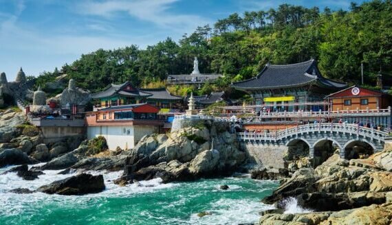 forests-temples-ocean-breeze-busan-b-Qby0fLKK-thumb