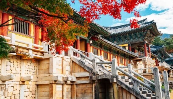 temples-in-tranquility-gyeongju-in-bloom-b-wAUyXhf4-thumb