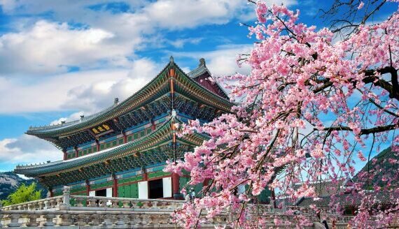 urban-echoes-return-to-seoul-b-YgGut373-thumb